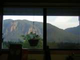 my window