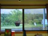my window